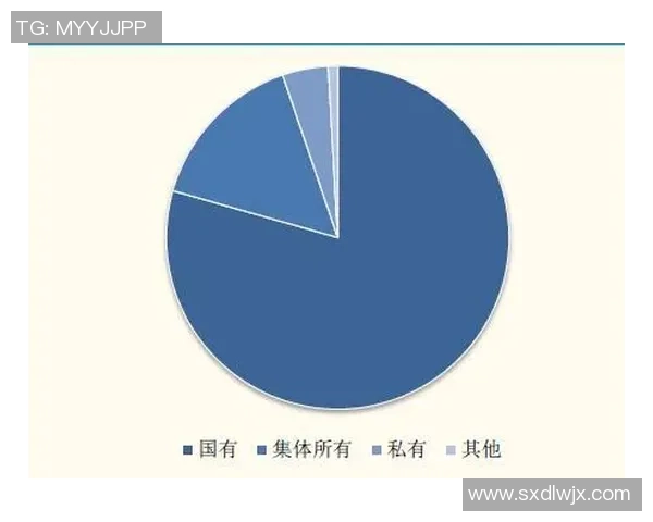 南京足球队运营模式解析与未来发展展望