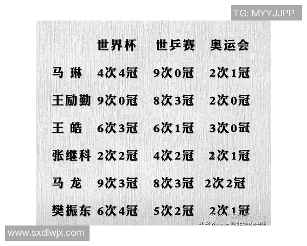 武汉乒乓球队在世界锦标赛上的技术表现深度解析与点评