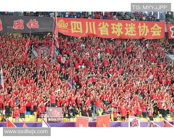 成都足球队荣登个人能力排行榜第二名引发热议 成都足球队荣登个人能力排行榜第二名引发热议