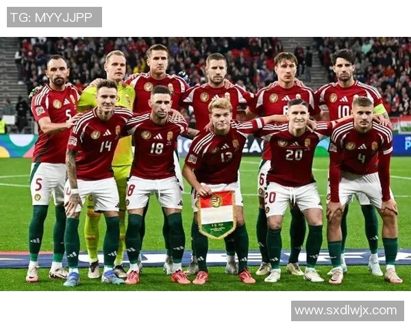 波黑足球明星盘点及其在国际赛场上的精彩表现与成就