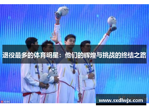 退役最多的体育明星：他们的辉煌与挑战的终结之路