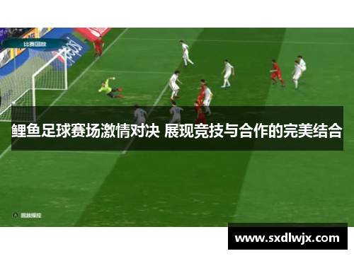 鲤鱼足球赛场激情对决 展现竞技与合作的完美结合