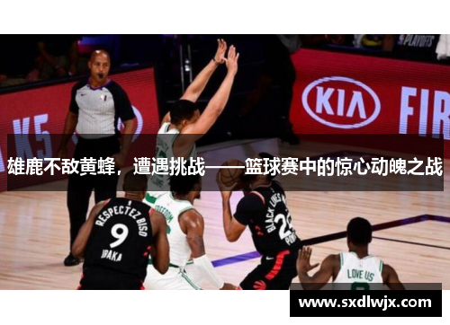 雄鹿不敌黄蜂，遭遇挑战——篮球赛中的惊心动魄之战