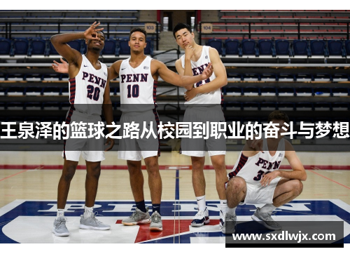 王泉泽的篮球之路从校园到职业的奋斗与梦想
