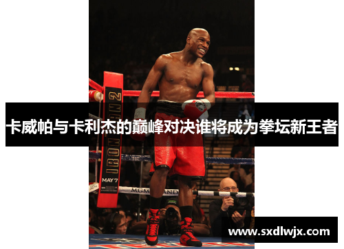 卡威帕与卡利杰的巅峰对决谁将成为拳坛新王者
